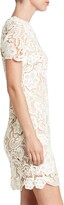 Thumbnail for your product : Dress the Population Anna Crochet Lace Sheath Dress
