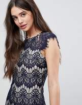 Thumbnail for your product : AX Paris Lace Contrast Midi Dress