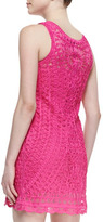 Thumbnail for your product : Yoana Baraschi Edwardian Web Sheath Dress, Fuchsia
