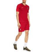 Thumbnail for your product : Nike 2018 Portugal Vapor Match Home Shorts