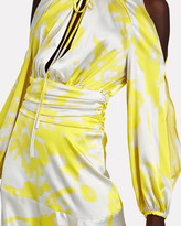 Thumbnail for your product : Silvia Tcherassi Benevento Printed Silk Maxi Dress