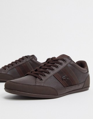 brown leather lacoste trainers