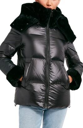 dawn levy jacket