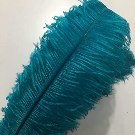Sowder 10pcs Ostrich Feathers 12-14inch(30-35cm) for Home Wedding Decoration (Teal)