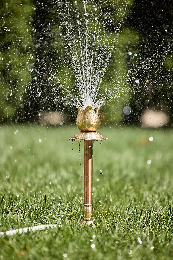 Copper + Brass Tulip Sprinkler at Terrain