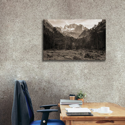 Millwood Pines 'Mountains In The Middle' by Martin Podt Canvas Wall Art