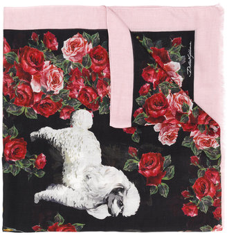 Dolce & Gabbana dog print scarf