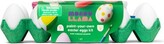 12pk Paint-Your-Own Easter Eggs Kit – Mondo Llama