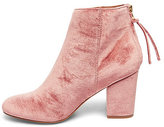 Thumbnail for your product : Steve Madden Cynthiav