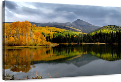Millwood Pines Alvord Colorado Woods Lake