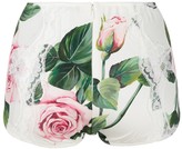Thumbnail for your product : Dolce & Gabbana Rose Print Briefs