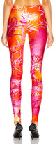 Thumbnail for your product : Versace Skinny Palm Legging in Fuchsia & Orange | FWRD