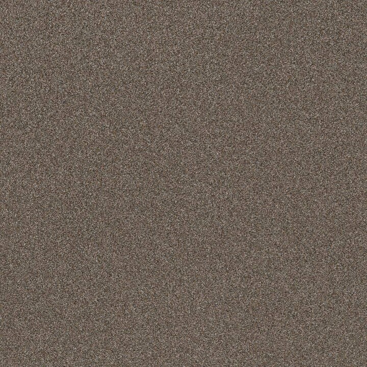 Home Decorators Collection 8 in x 8 in. Texture Carpet Sample - Columbus I - Color Oxford