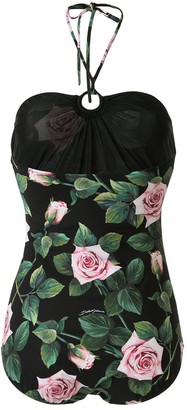 Dolce & Gabbana Tropical Rose Print Swimsuit