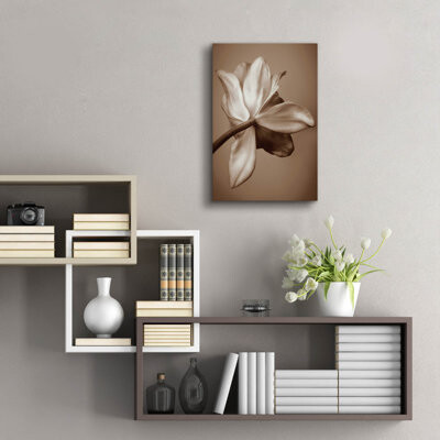 Epic Art ' Moonlight Tulip' By Rebecca Swanson Ac \