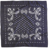 Thumbnail for your product : J.Crew Bandana scarf