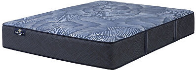 Serta Perfect Sleeper Euphoric Nights 14" Hybrid Firm - Mattress Only