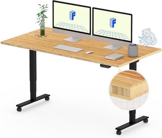 Xelite FLEXISPOT E6 MAX Bamboo Dual Motor 3 Stages Standing Desk 55x28 Inch Whole-Piece Board Electric Height Adjustable Stand Up Desk 150KG Load...