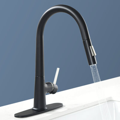 Topcraft Single-Handle Single-Hole Kitchen Faucet with Sensor