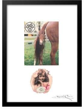 Hermes Luxe West Foal Ad Print