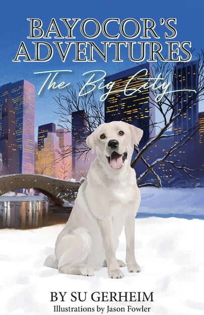 Bayocor's Adventures, The Big City, (Paperback)