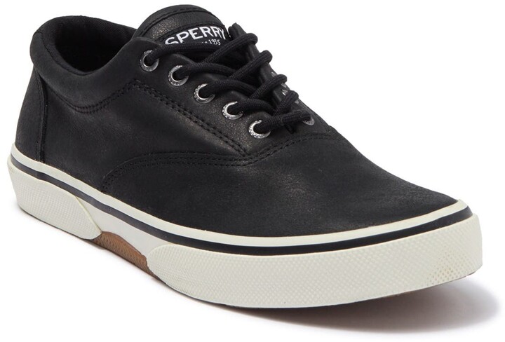 infant dinosaur converse