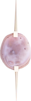 TJMAXX 19In Eclipse Agate Sconce
