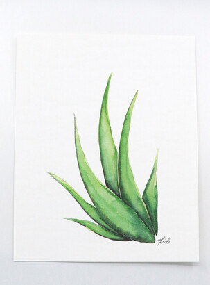 Fiola Aloe Vera art printSee available sizes