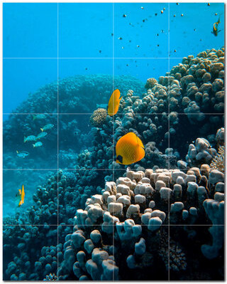 Picture-Tiles.com Coral Photo 6'' x 6'' Satin Ceramic Decorative Mural