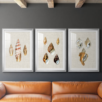 Rosecliff Heights Antique Shells on Linen I -Custom Framed Premium Print W Matt - 3 Pieces