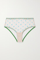 Thumbnail for your product : Dora Larsen + Net Sustain Lumi Embroidered Recycled Tulle Briefs - Blue