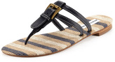 Thumbnail for your product : Manolo Blahnik Kinabal Buckled Thong Sandal, Navy Blue