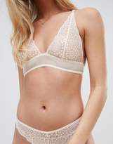 Thumbnail for your product : Lepel Sophia Brazilian Brief Gold
