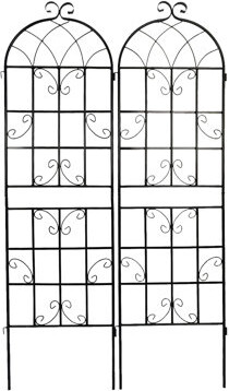 Red Barrel Studio 2 Pack Metal Garden Trellis Rustproof Trellis