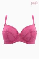 Thumbnail for your product : Next Womens Panache Pink Tango Balconnet Bra