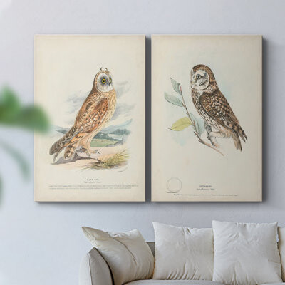 Wexford Home Hawk Owl-Premium Gallery Wrapped Canvas -Ready to Hang