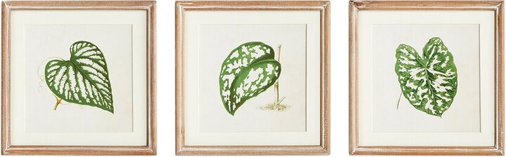 Napa Home & Garden Leaf Cuttings Petite Prints Set