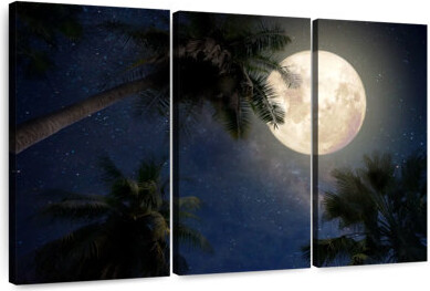 Ebern Designs Oberle Tropical Moonlight