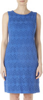 Thumbnail for your product : Wallis Petite Blue Lace Shift Dress