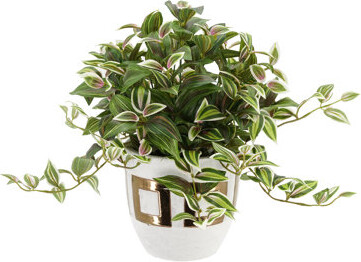 Winston Porter Faux Wandering Jew Foliage Plant in Pot