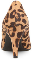 Thumbnail for your product : Dorothy Perkins Leopard mid heel pointed court