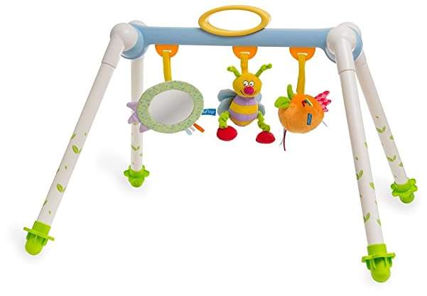 Taf Toys Take-To-Play Baby Gym | Baby’s All Time Entertainment, Baby Mirror, Detachable Toys, Foldable, Easy Storage And Mobility, No More Child Boredom, Easier Child Development And Parenting
