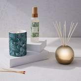Thumbnail for your product : west elm Palm Tree Homescent Collection