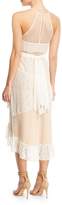 Thumbnail for your product : LIKELY Lorimer Sheer Mesh Lace Midi Dress