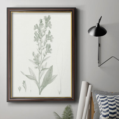 August Grove Botanical Study in Sage III - Picture Frame Painting on Canvas
