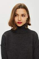 Thumbnail for your product : Topshop Supersoft Ribbed Roll Neck Jumper