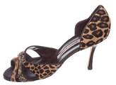 Thumbnail for your product : Manolo Blahnik Pony Hair D'Orsay Pumps