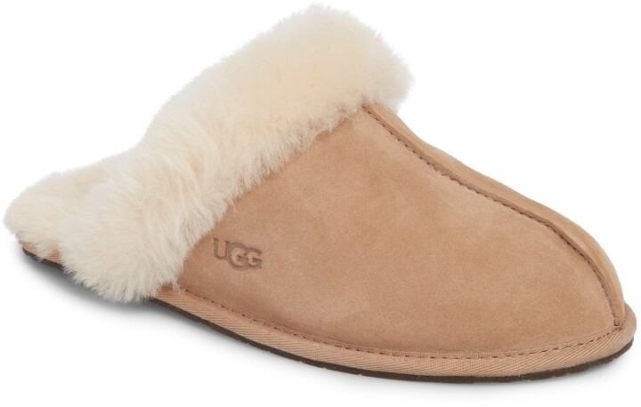 ugg scuffette fawn