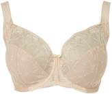 Thumbnail for your product : Fantasie Elodie underwired side support bra GG-J