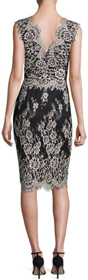 Erin Fetherston Sleeveless Scalloped Lace Cocktail Dress, Black